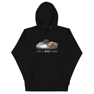 It's a Gray Area Unisex Hoodie