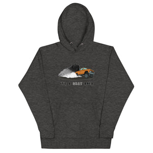 It's a Gray Area Unisex Hoodie